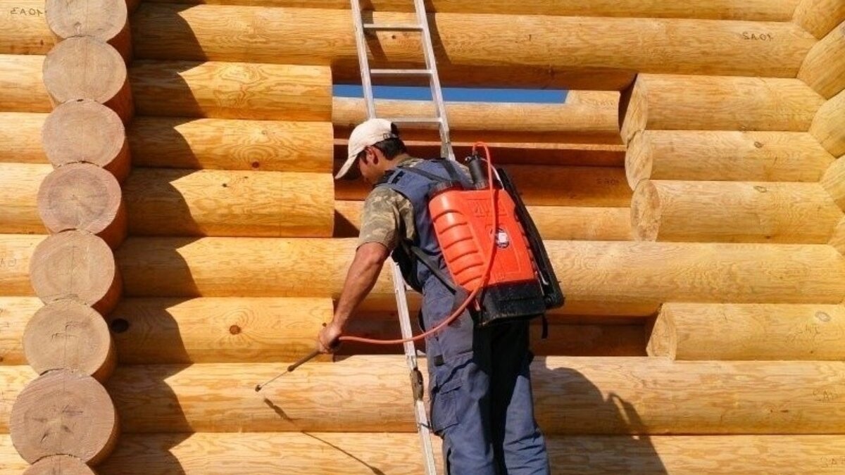 Обработка деревянного дома. Лучшие средства для защиты дома