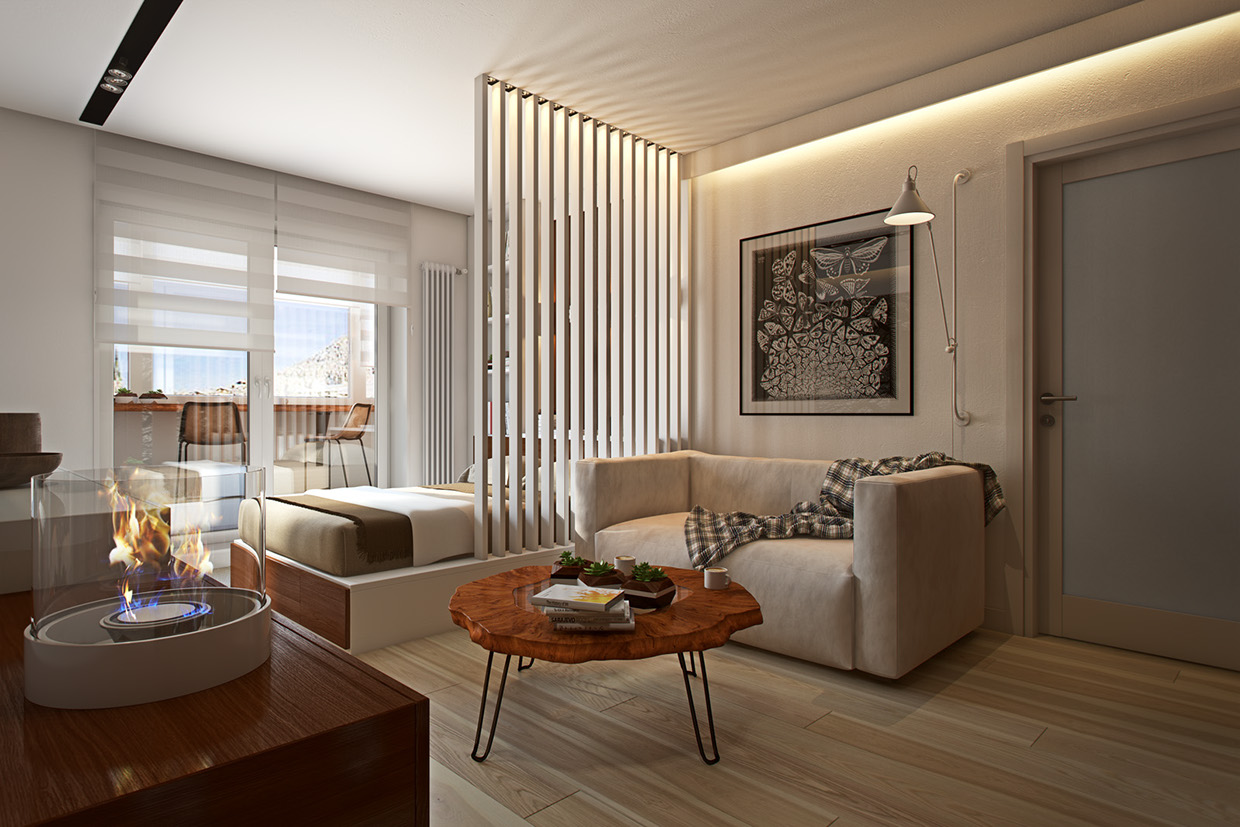 Современный интерьер однокомнатной квартиры 205 (фото) стилей