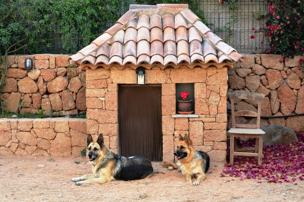 Будка для собаки своими руками - 95 фото, чертежей и эскизов будок