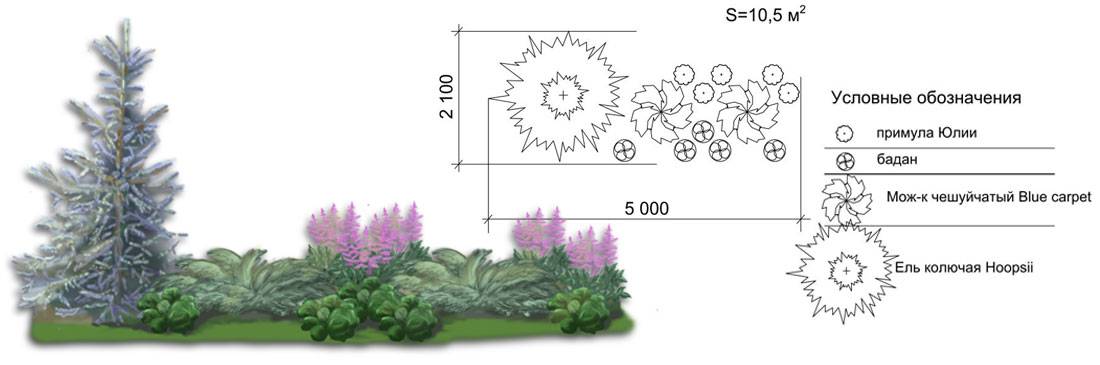 Украшаем участок путем создания миксбордеров своими руками: схемы подбора растений + фото готовых работ