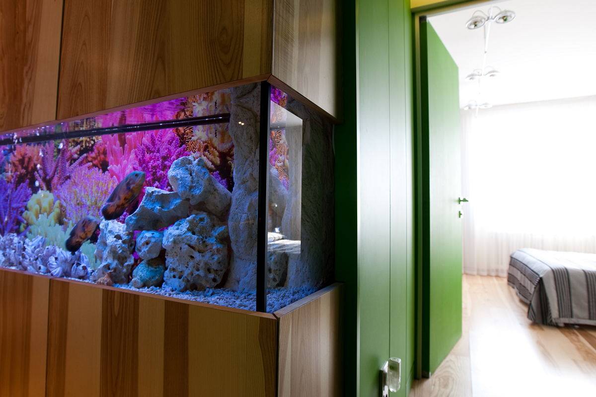 (+138 фото) оформление аквариума в современном интерьере