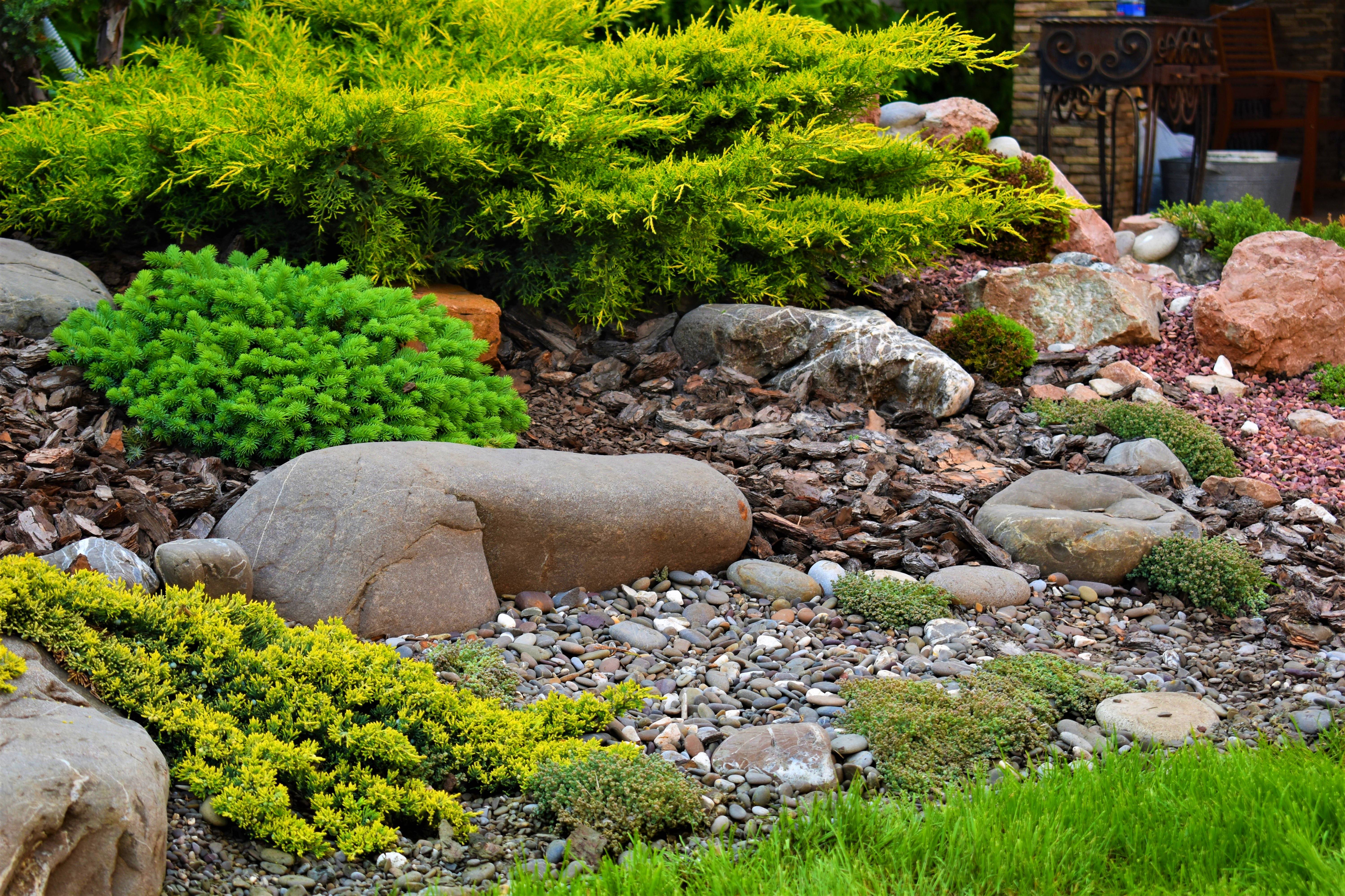 Рокарий: каменистый сад своими руками
