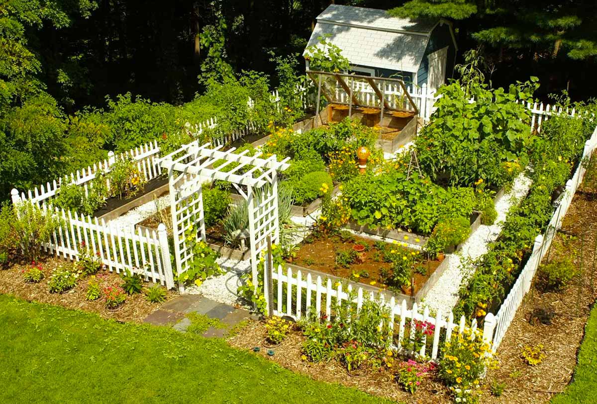Декоративный огород как элемент ландшафтного дизайна участка