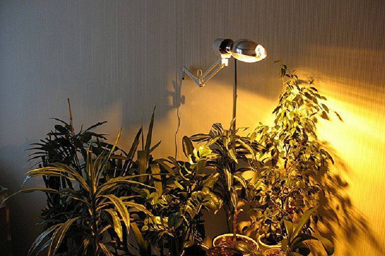 Декоративная подсветка для комнатных растений. виды, приборы. для каких растений. фото — ботаничка