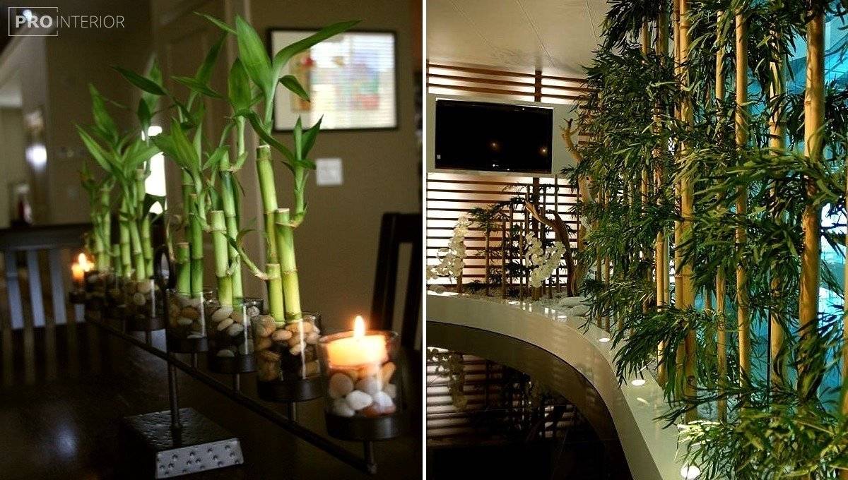 Бамбуковые обои в интерьере: 15 фото