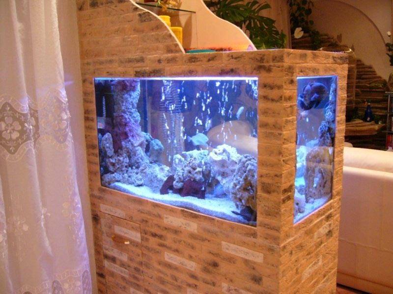 Как сделать аквариум из оргстекла в домашних условиях
как сделать аквариум из оргстекла в домашних условиях