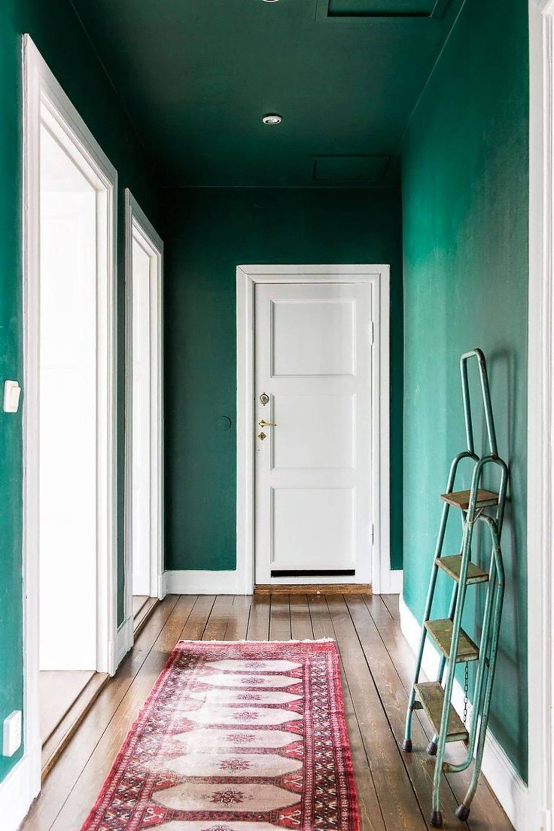 Выбираем цвет для покраски прихожей и коридора (+38 фото)