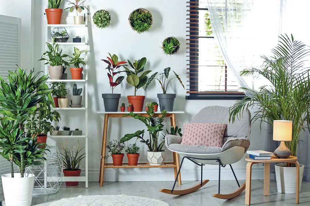 Растения в интерьере квартиры: интересные идеи размещения