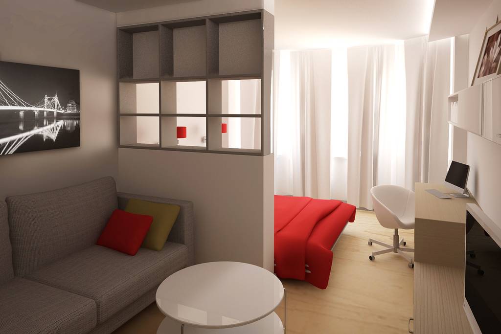 Способы зонирования комнаты на спальню и гостиную: 195+ фото лучших идей дизайна с примерами