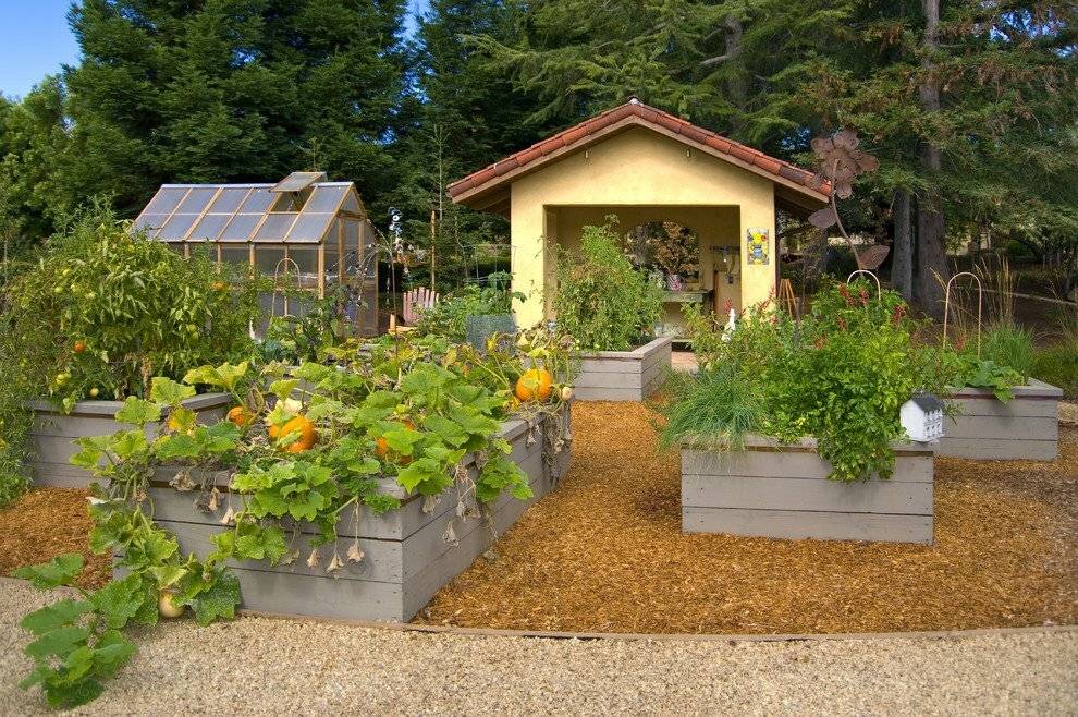 В гостях на даче, или как создать гармоничный сад на шести сотках? личный опыт, фото — ботаничка