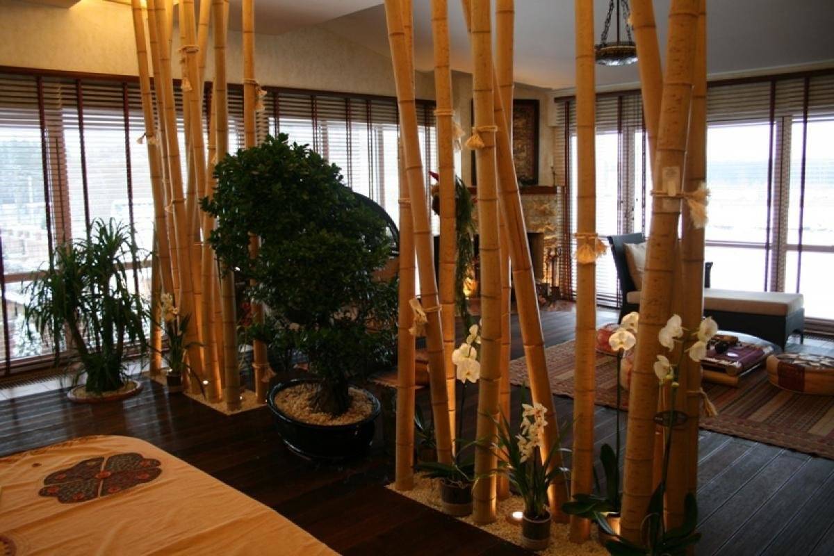 Бамбук в интерьере - 100 фото и видео как правильно использовать бамбук