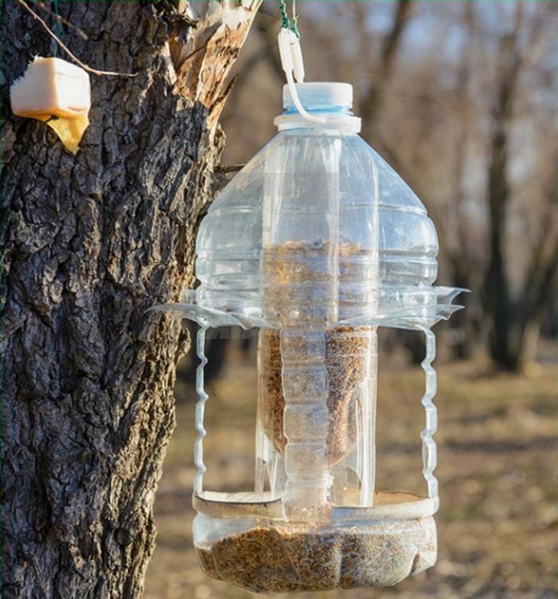 Кормушка из пластиковой бутылки: лучшие идеи и варианты по созданию и размещению