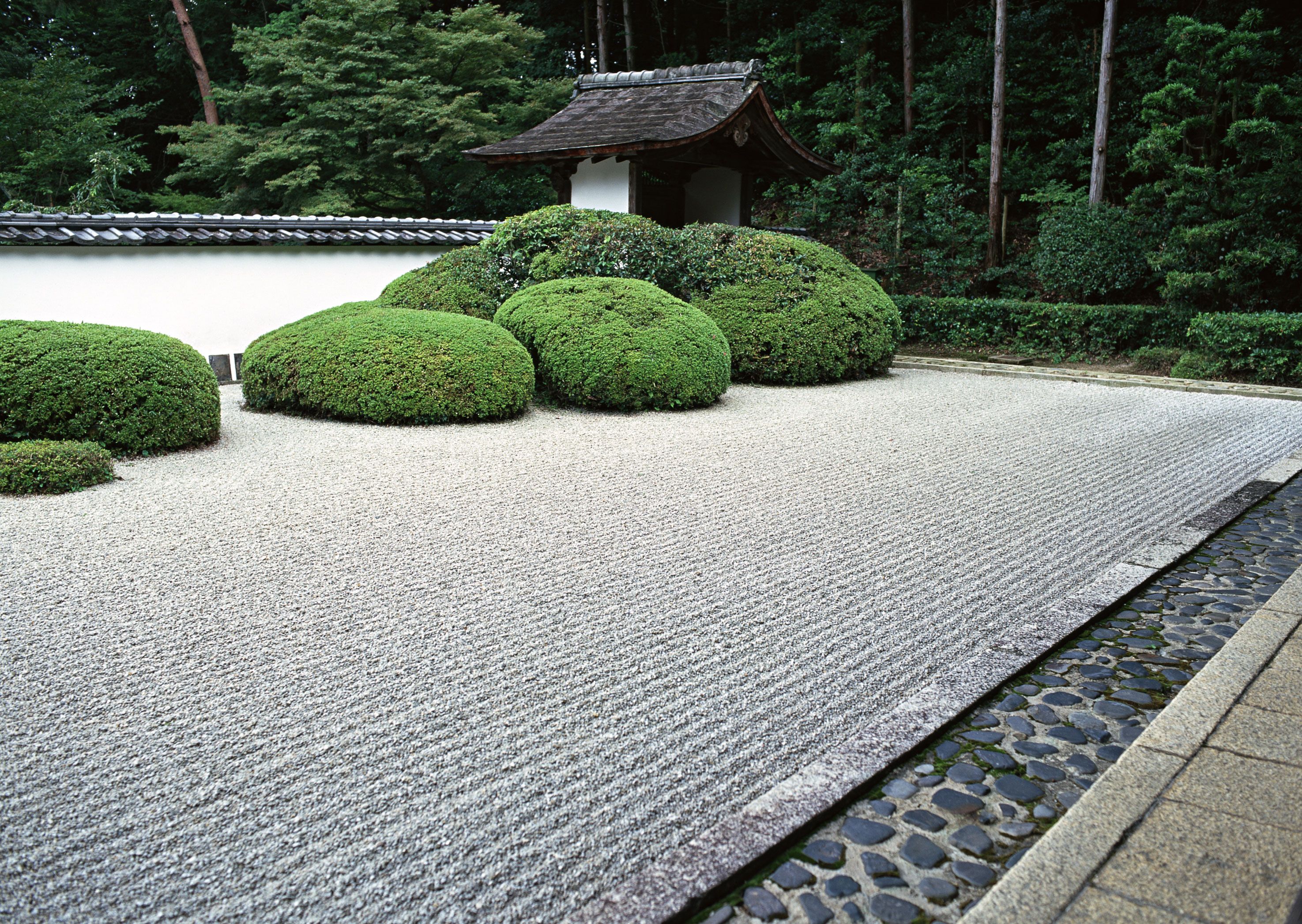 Создание японского сада камней на даче: пошаговая инструкция достижения гармонии