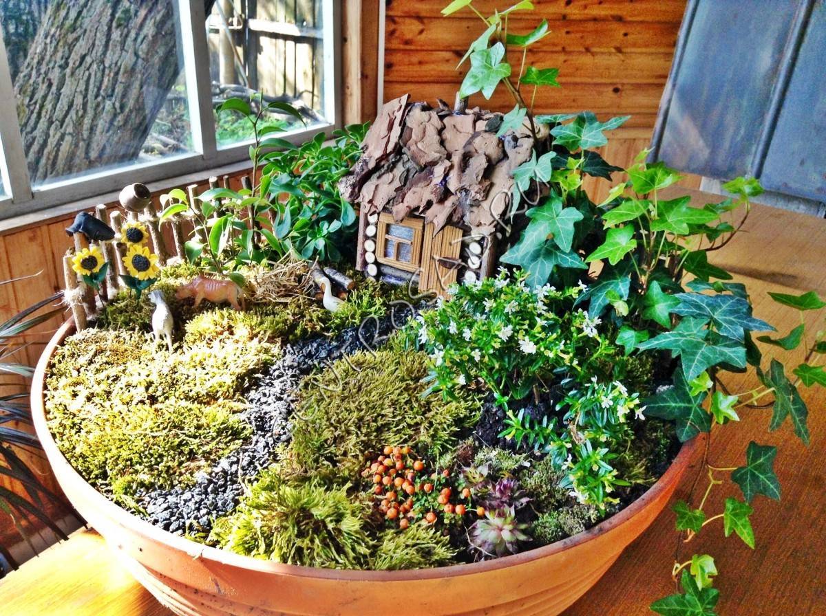 Создание мини-садов своими руками в горшках – хобби для квартирных дачников