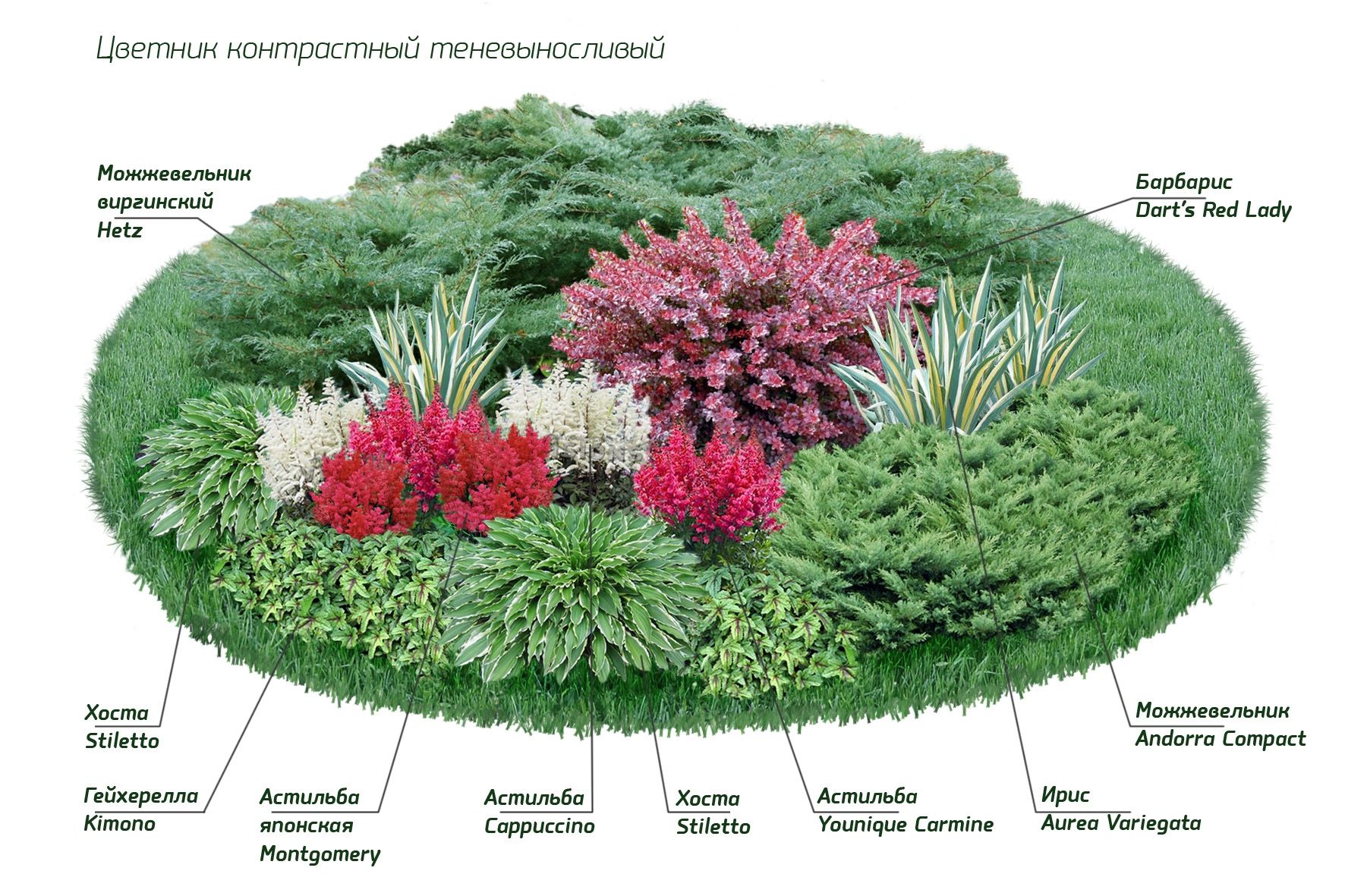 Миксбордер в ландшафтном дизайне своими руками: схема, фото, правильный подбор растений