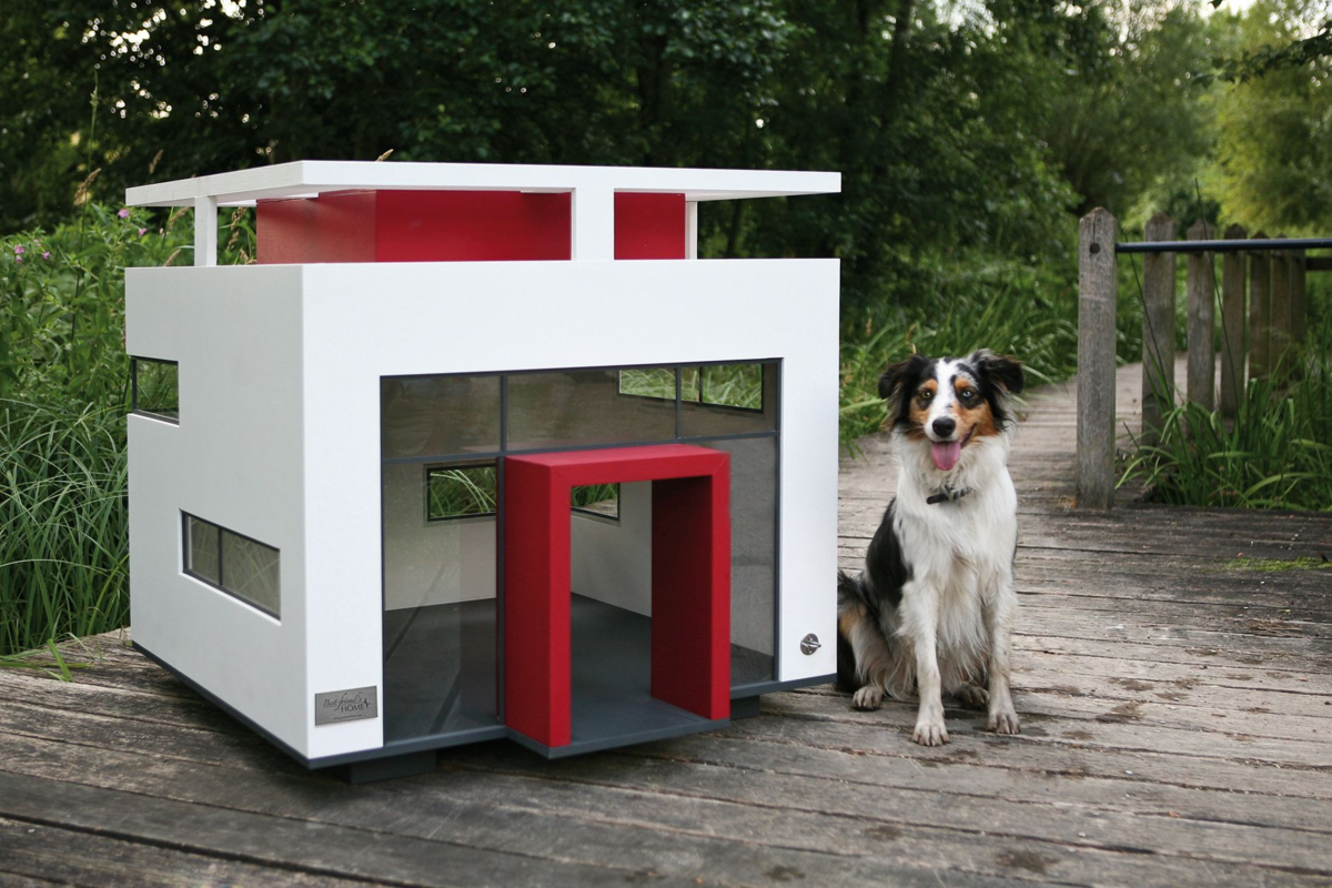 Будка для собаки: из каких материалов строить и обзор самых простых и красивых конструкций