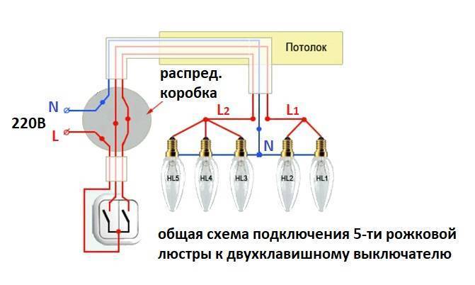 Как подключить двойной выключатель на две лампочки: схемы и инструкция по монтажу