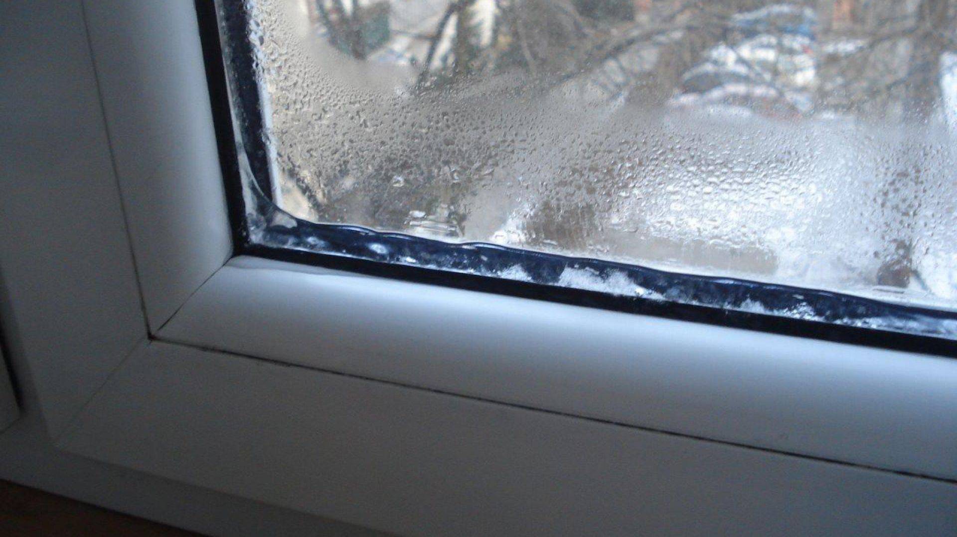 Конденсат на окнах внутри квартиры: почему образуется и как от него избавиться