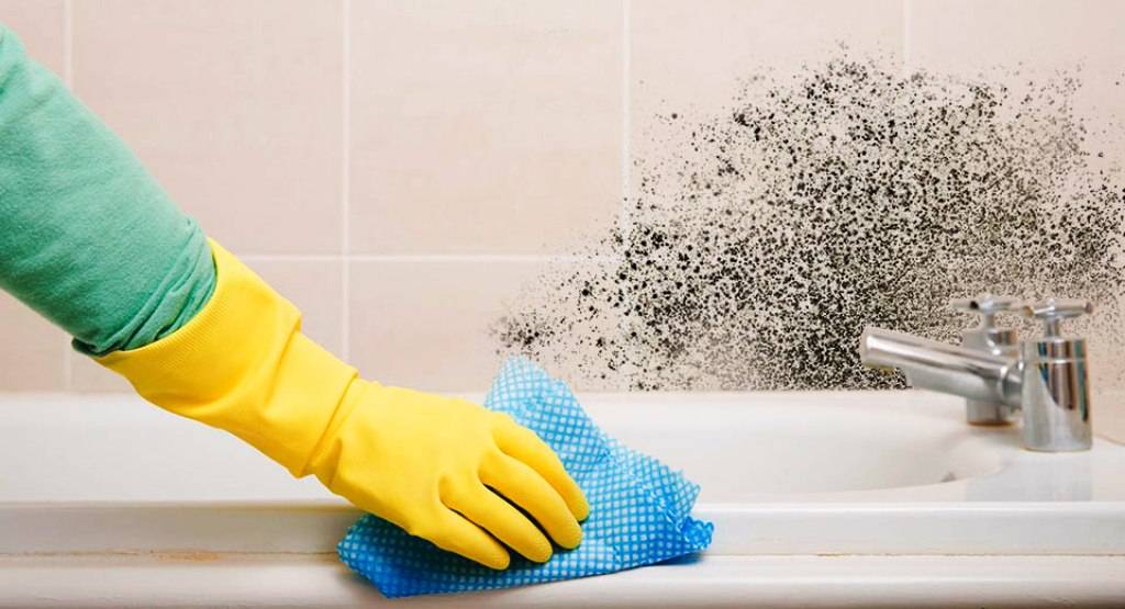Как удалить черную плесень в ванной комнате и вывести ее навсегда?