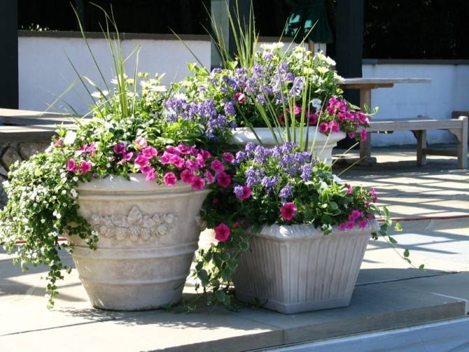 Садовые формы из бетона: декоративные урны и вазоны для цветов