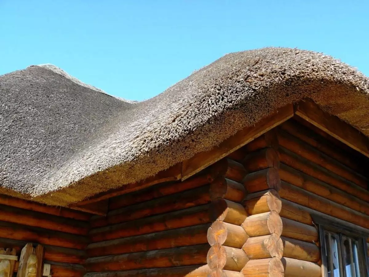 Крыша из камыша своими руками - камышовая крыша | стройсоветы