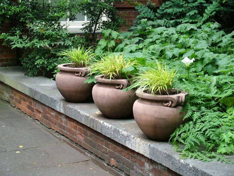 Уличные садовые вазы из бетона: как сделать своими руками раствор, формы