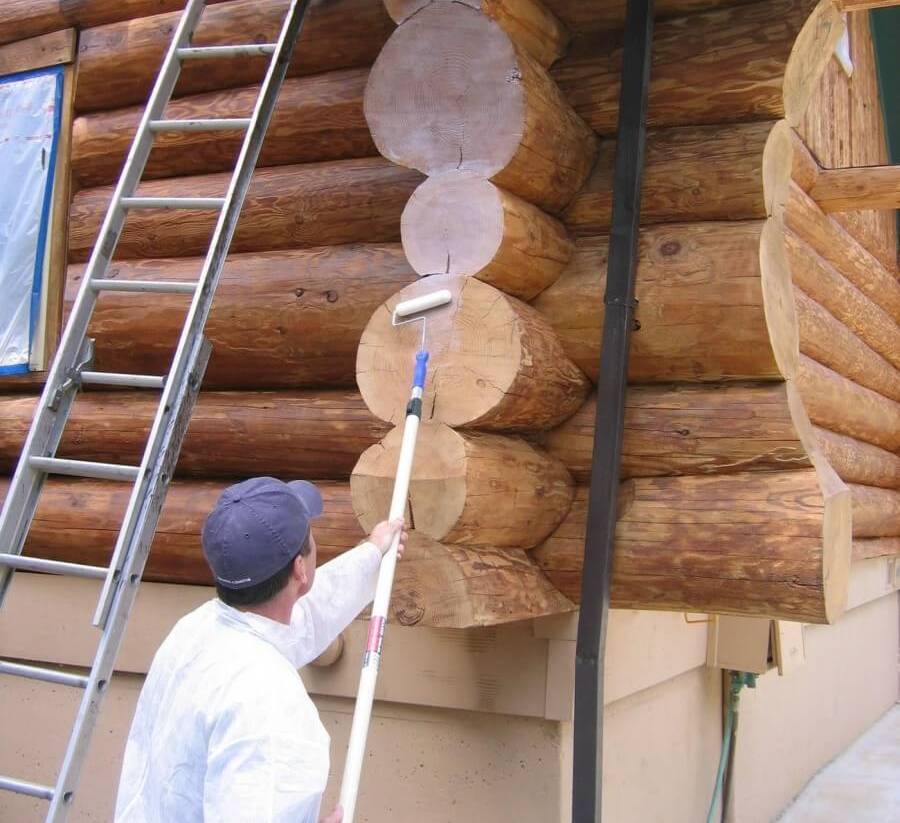 Защита от влаги, гниения и насекомых: пропитки для дерева и деревянных конструкций