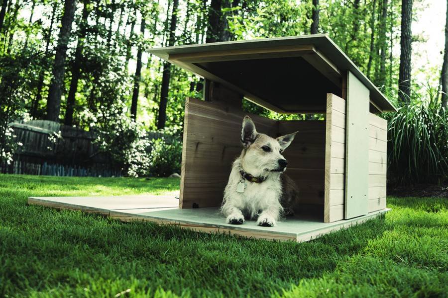Будка для собаки своими руками: инструкции для изготовления из досок, поддонов и картона