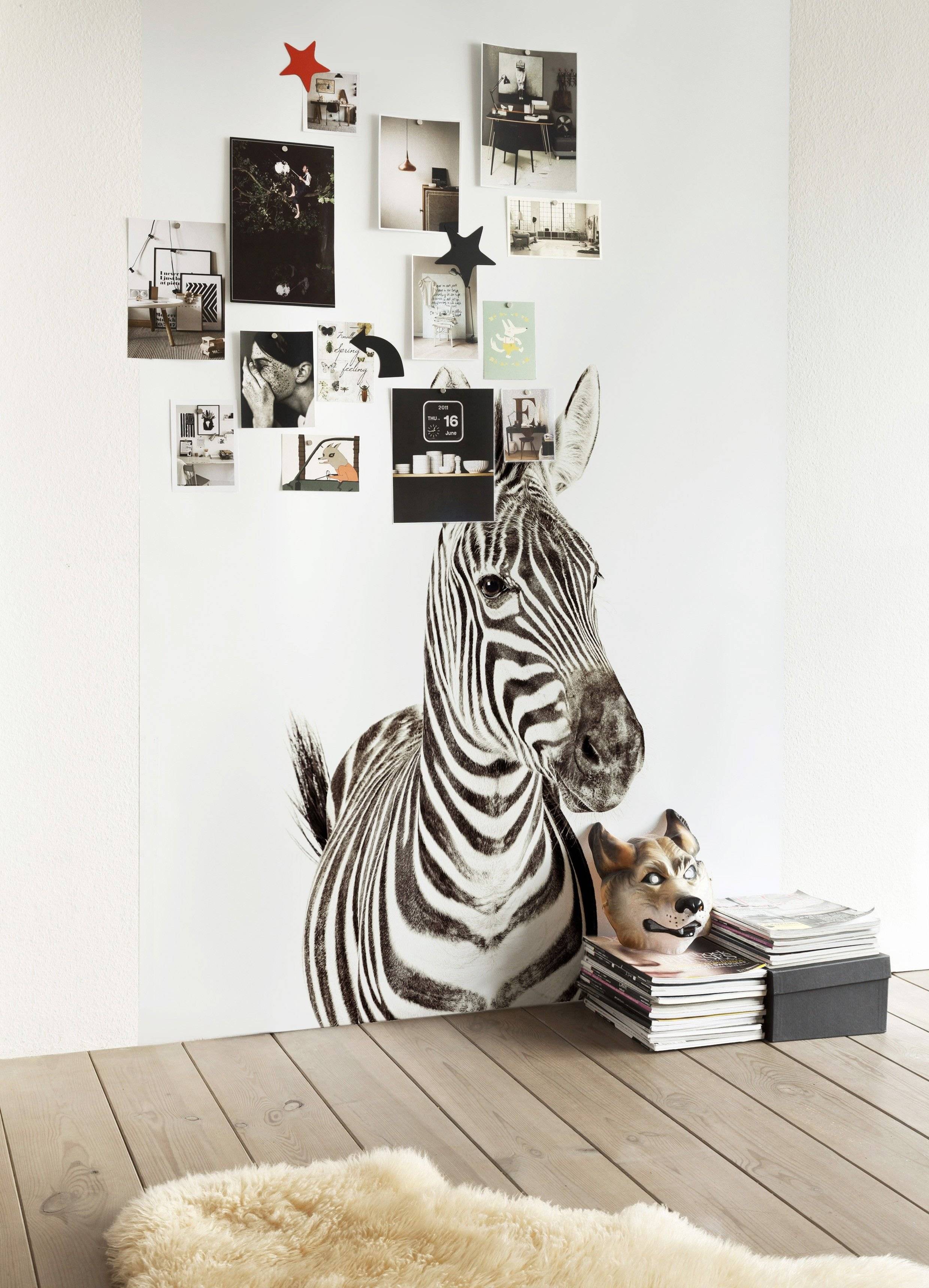 Модный маникюр зебра: 100 фото красивых идей дизайна