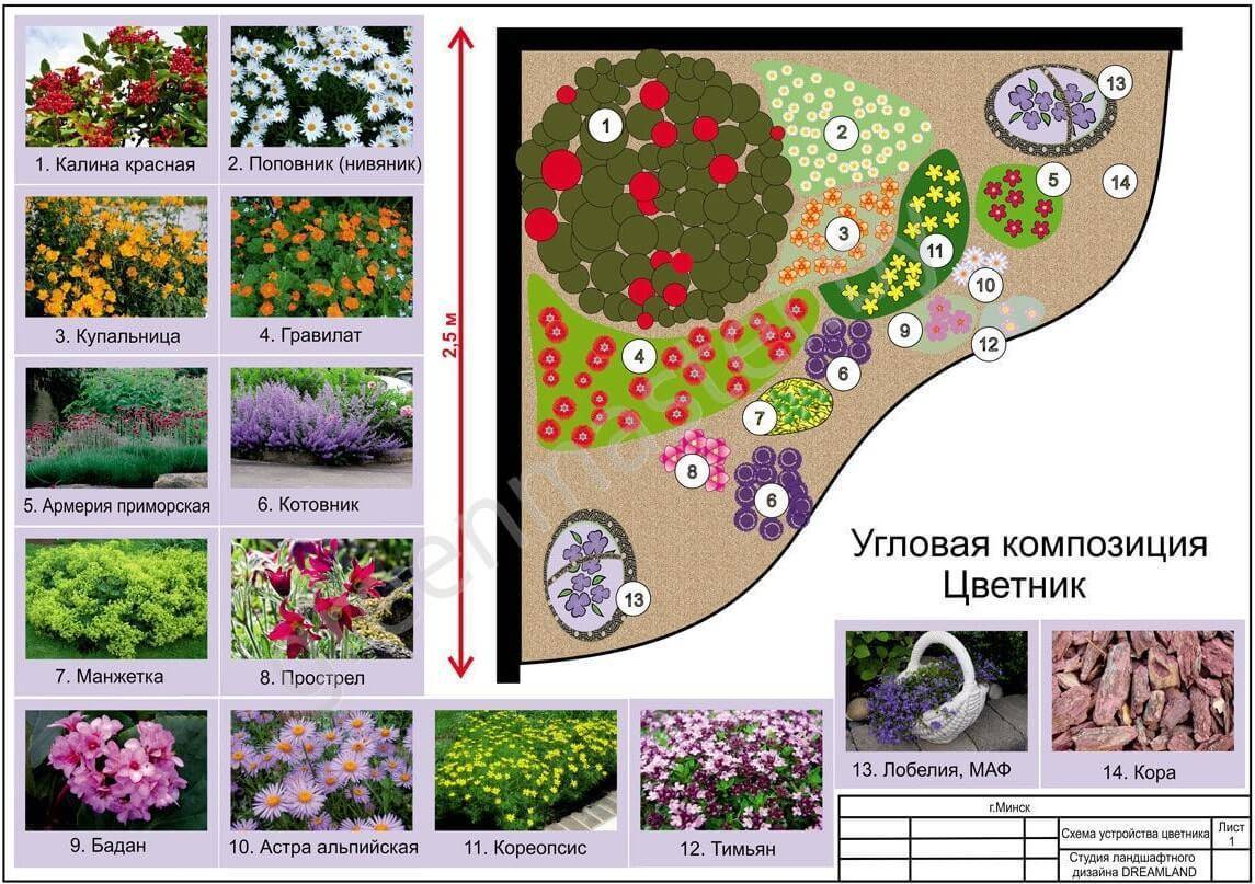 Миксбордеры из многолетников: красивые схемы, сочетания и названия растений для миксбордеров (120 фото)