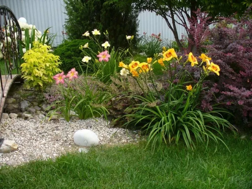 Ландшафтный дизайн с лилейниками: фото клумб в саду на дачном участке