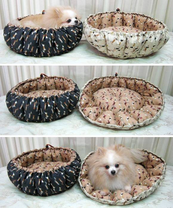 ᐉ что нужно для собаки в квартире список, как обустроить место для щенка? - zoomanji.ru